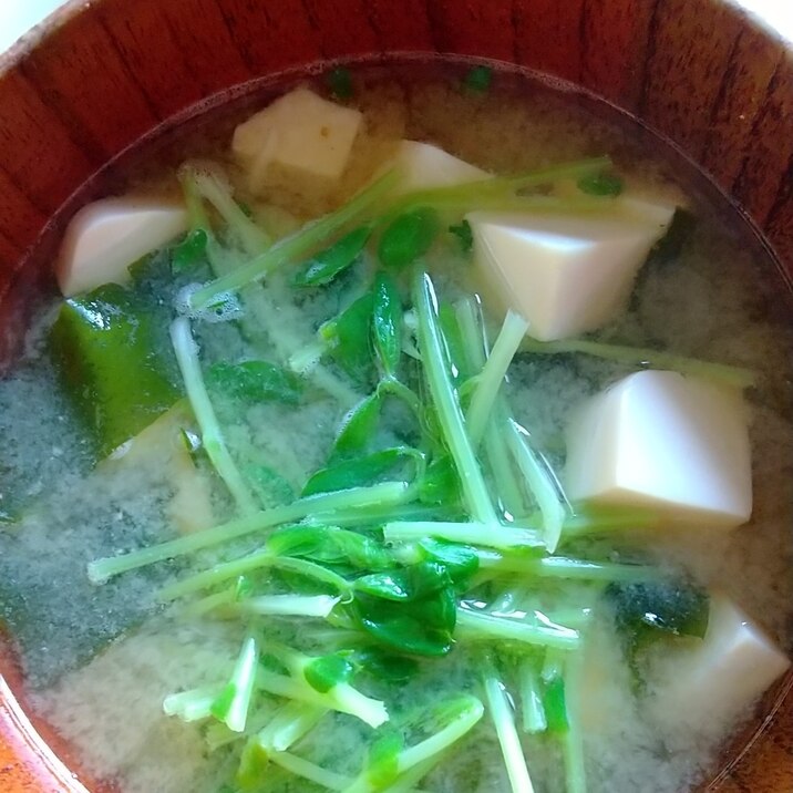 ◇豆苗しゃきしゃき!豆腐わかめの味噌汁◇